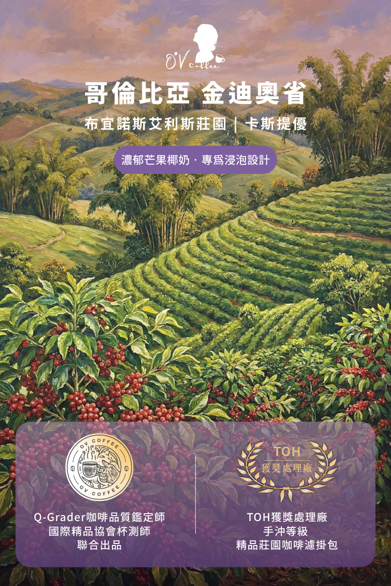 哥倫比亞 布宜諾斯艾利斯莊園 卡斯提優 芒果椰奶風味咖啡濾掛