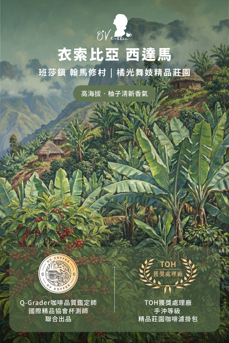 衣索比亞 橘光舞妓精品莊園