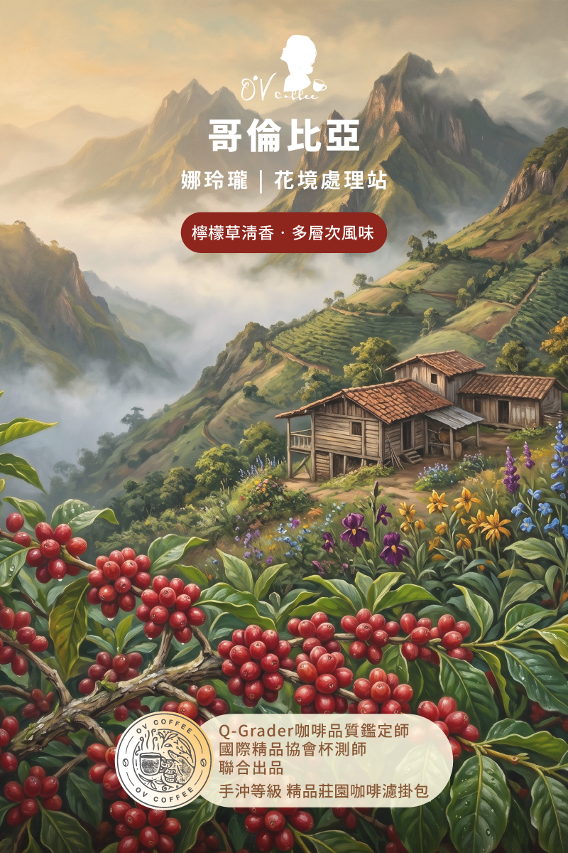 哥倫比亞 娜玲瓏 花境藝伎
